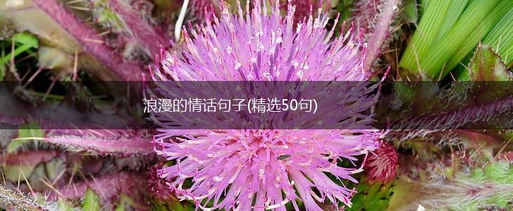 浪漫的情话句子(精选50句),第1张