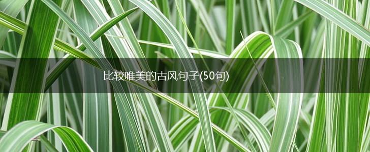 比较唯美的古风句子(50句),第1张