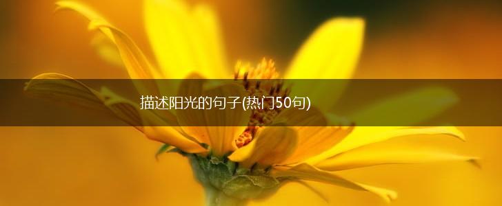 描述阳光的句子(热门50句),第1张