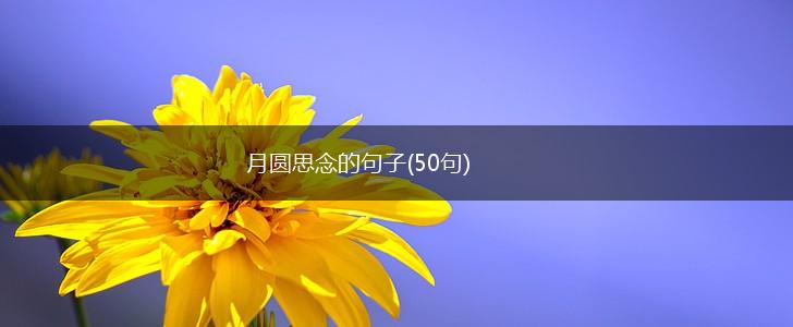 月圆思念的句子(50句),第1张