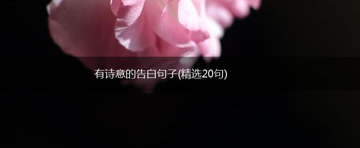 有诗意的告白句子(精选20句),第1张