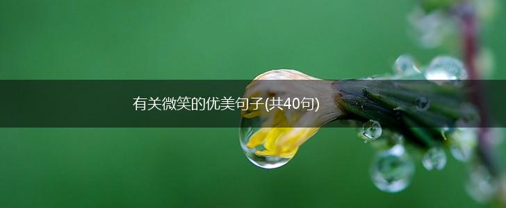 有关微笑的优美句子(共40句),第1张