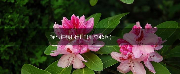 描写钟楼的句子(汇总46句),第1张