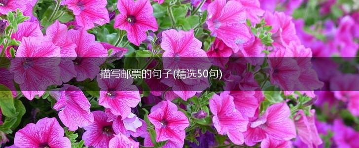 描写邮票的句子(精选50句),第1张