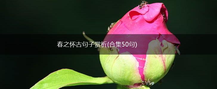 春之怀古句子赏析(合集50句),第1张