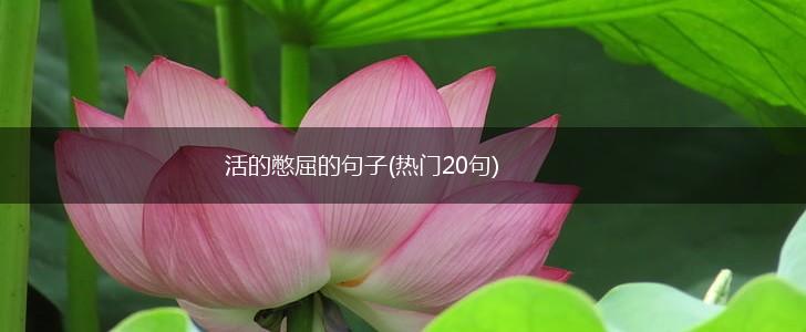 活的憋屈的句子(热门20句),第1张