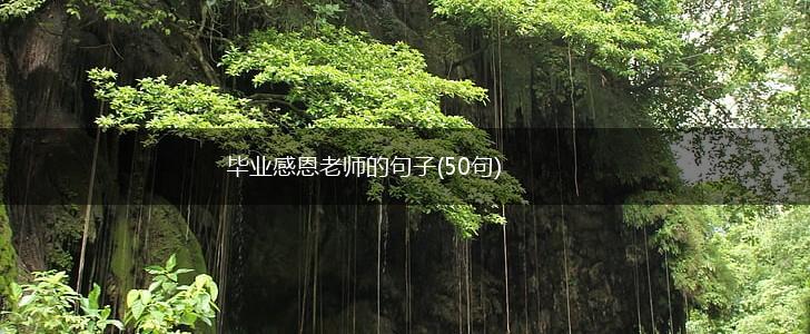 毕业感恩老师的句子(50句),第1张
