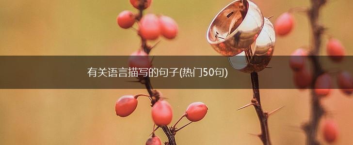 有关语言描写的句子(热门50句),第1张
