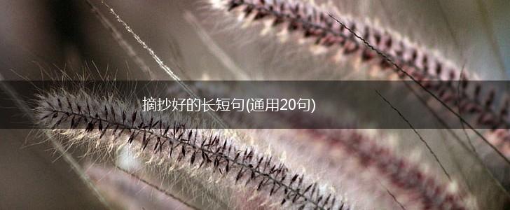 摘抄好的长短句(通用20句),第1张