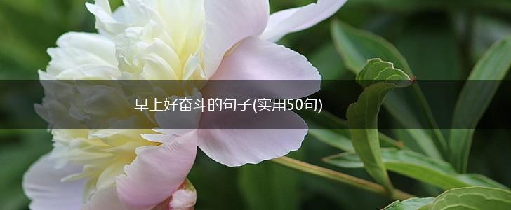 早上好奋斗的句子(实用50句),第1张