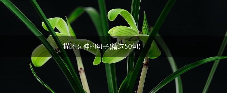 描述女神的句子(精选50句),第1张