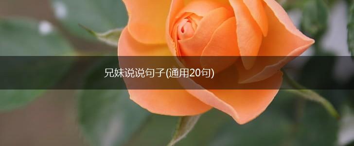 兄妹说说句子(通用20句),第1张