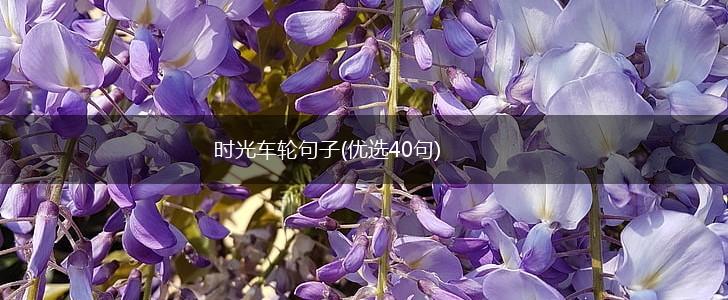 时光车轮句子(优选40句),第1张