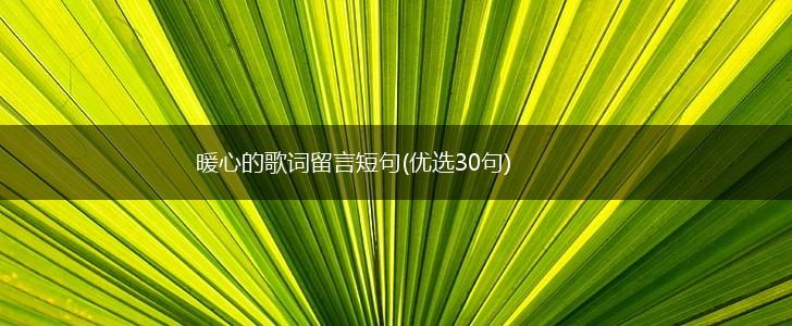 暖心的歌词留言短句(优选30句),第1张