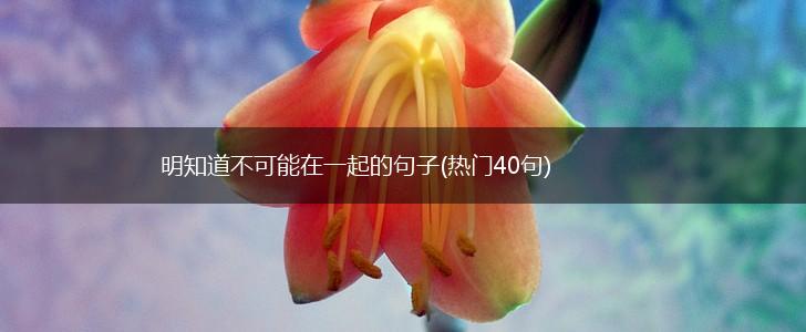 明知道不可能在一起的句子(热门40句),第1张