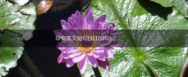 早安英文短句(共100句),第1张