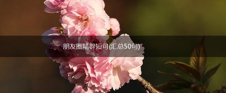 朋友圈精辟短句(汇总50句),第1张