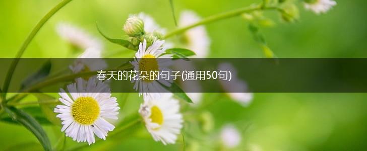 春天的花朵的句子(通用50句),第1张