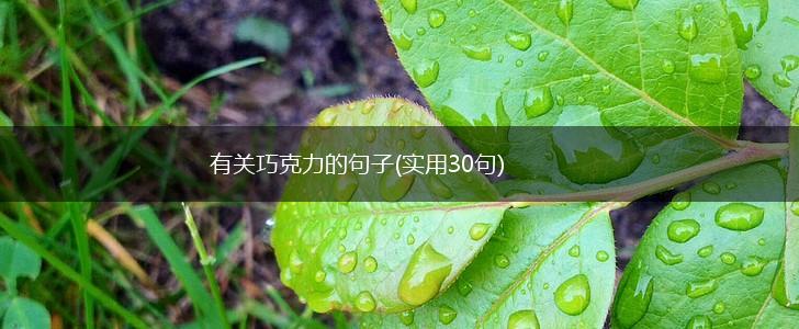 有关巧克力的句子(实用30句),第1张