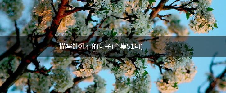 描写钟乳石的句子(合集51句),第1张