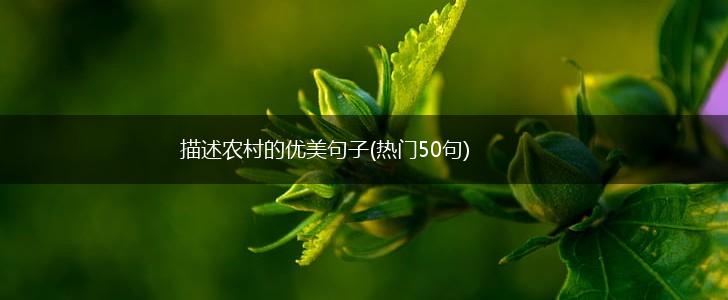 描述农村的优美句子(热门50句),第1张