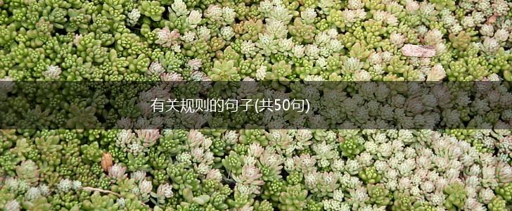 有关规则的句子(共50句),第1张