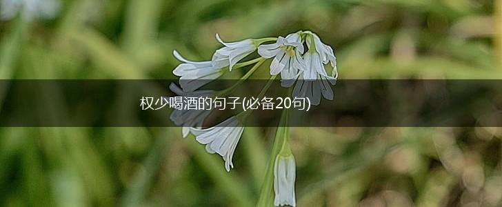 权少喝酒的句子(必备20句),第1张