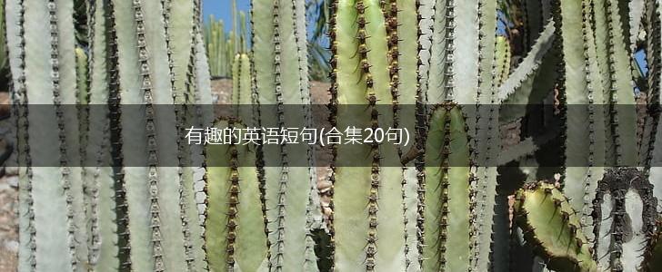有趣的英语短句(合集20句),第1张