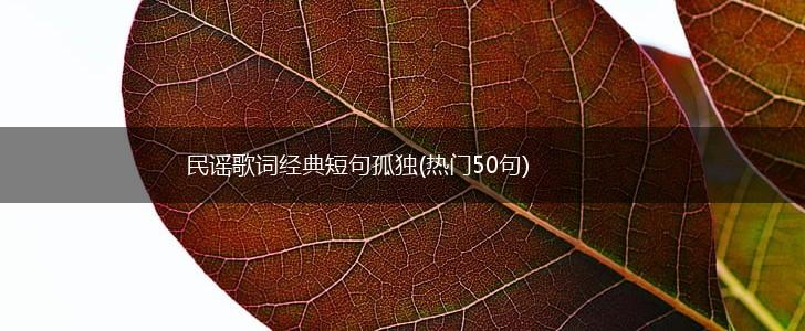 民谣歌词经典短句孤独(热门50句),第1张