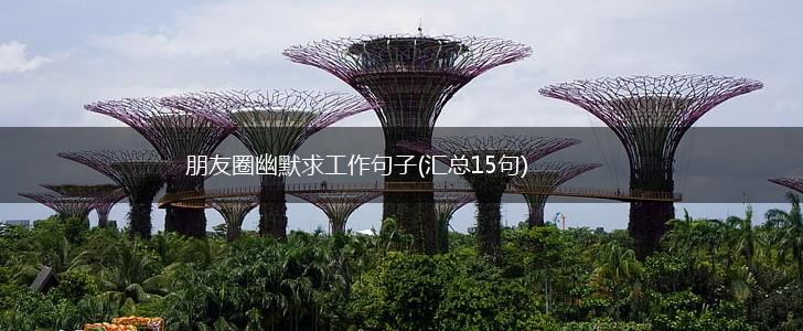 朋友圈幽默求工作句子(汇总15句),第1张