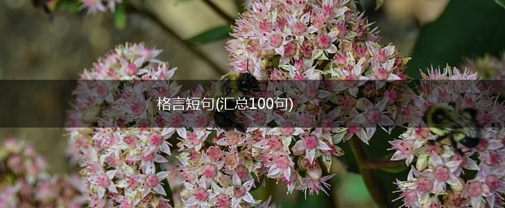 格言短句(汇总100句),第1张