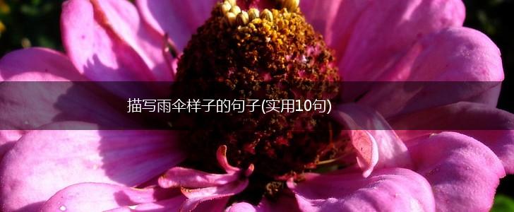 描写雨伞样子的句子(实用10句),第1张