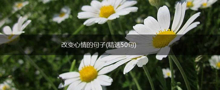 改变心情的句子(精选50句),第1张