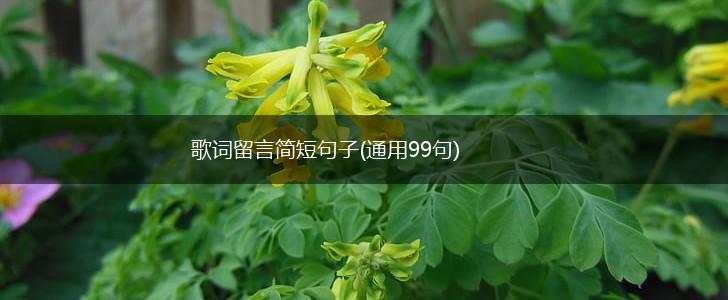 歌词留言简短句子(通用99句),第1张