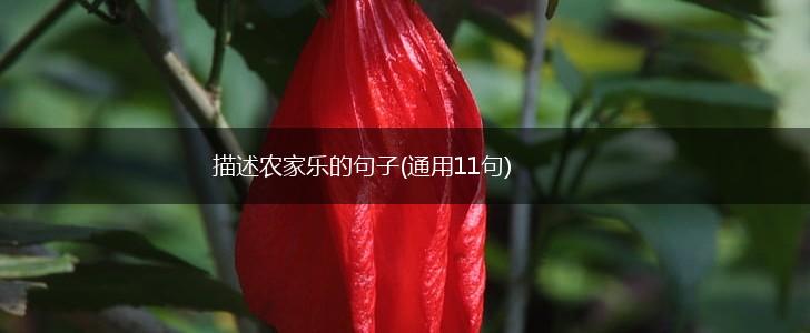 描述农家乐的句子(通用11句),第1张 描述农家乐的句子(通用11句),第1张