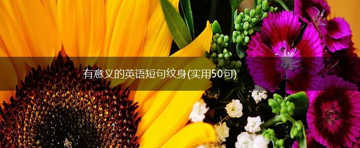 有意义的英语短句纹身(实用50句),第1张