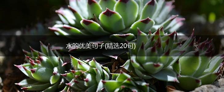 水的优美句子(精选20句),第1张