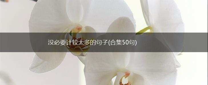 没必要计较太多的句子(合集50句),第1张