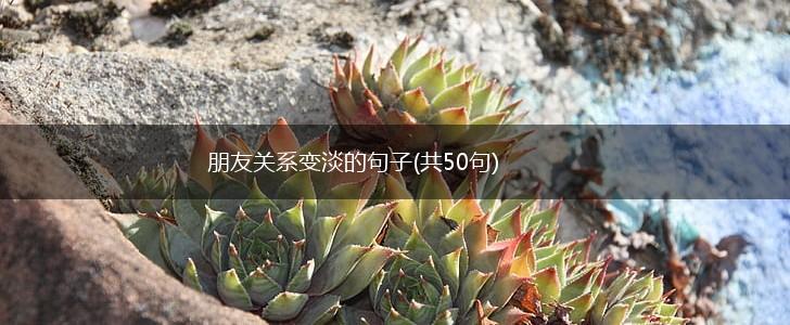 朋友关系变淡的句子(共50句),第1张