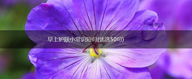早上护肤小常识短句(优选50句),第1张