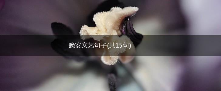 晚安文艺句子(共15句),第1张