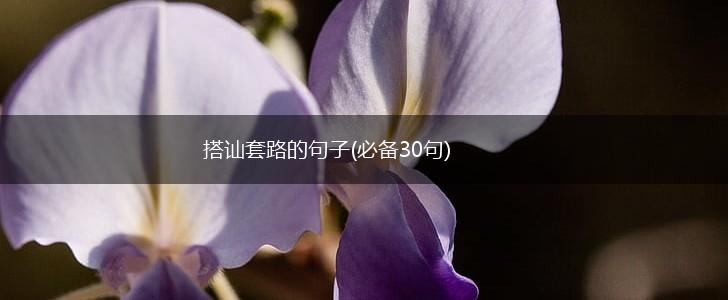 搭讪套路的句子(必备30句),第1张