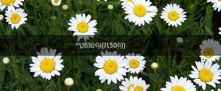 气质短句(共50句),第1张