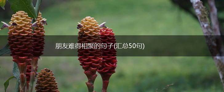 朋友难得相聚的句子(汇总50句),第1张