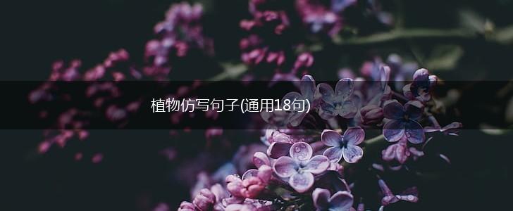 植物仿写句子(通用18句),第1张