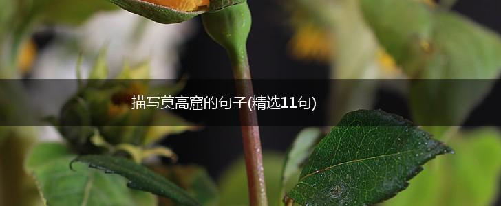 描写莫高窟的句子(精选11句),第1张