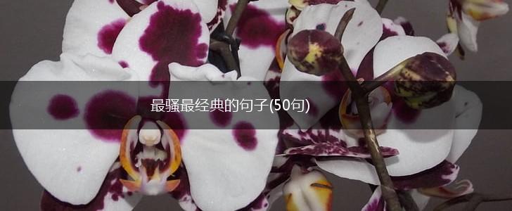 最骚最经典的句子(50句),第1张