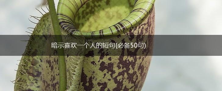 暗示喜欢一个人的短句(必备50句),第1张