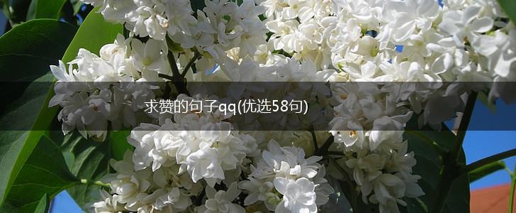 求赞的句子qq(优选58句),第1张