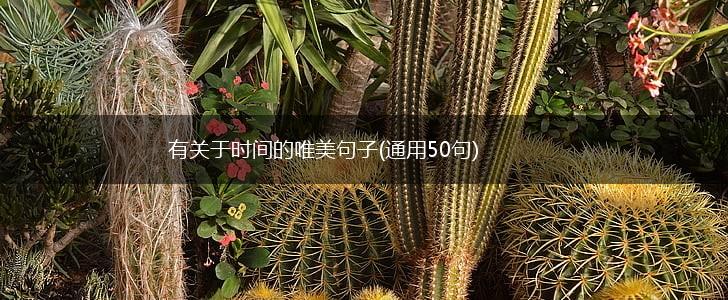 有关于时间的唯美句子(通用50句),第1张